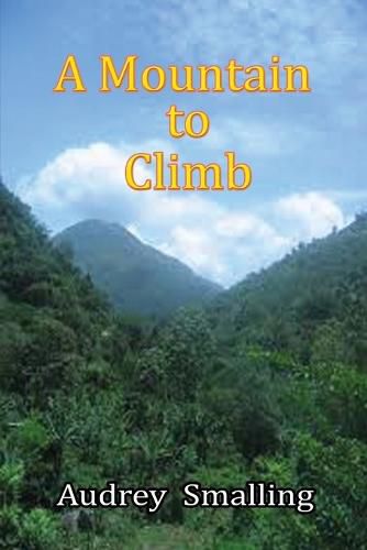 Cover image for A Mountain to Climb