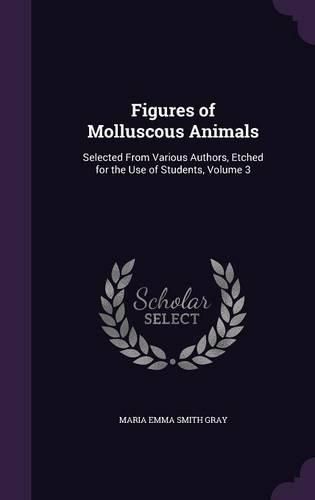 Cover image for Figures of Molluscous Animals: Selected from Various Authors, Etched for the Use of Students, Volume 3