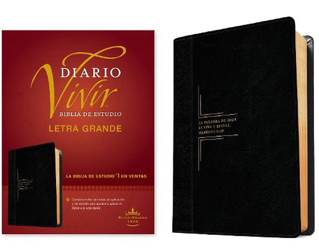 Cover image for Biblia de estudio del diario vivir RVR60, letra grande