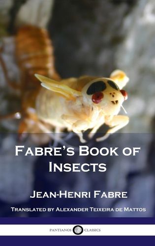 Cover image for Fabre's Book of Insects