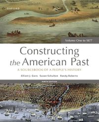 Cover image for Constructing the American Past