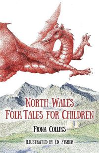 Cover image for North Wales Folk Tales for Children