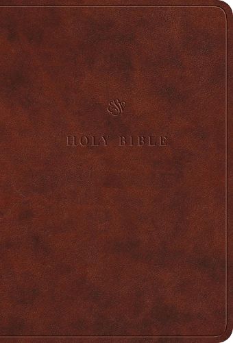 Cover image for ESV Value Large Print Compact Bible