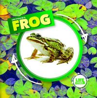 Cover image for Life Cycle of a Frog