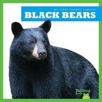 Cover image for Black Bears