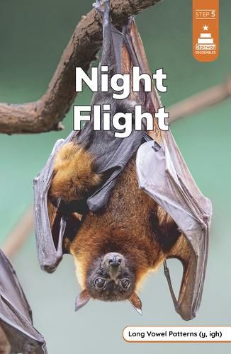 Cover image for Night Flight