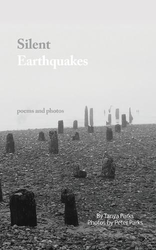 Cover image for Silent Earthquakes