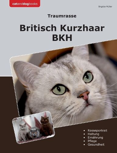 Cover image for Traumrasse Britisch Kurzhaar