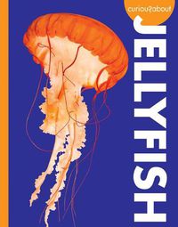 Cover image for Curious about Jellyfish