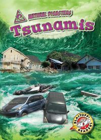 Cover image for Tsunamis