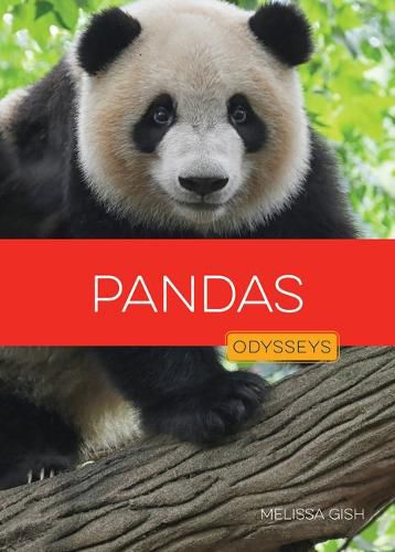 Cover image for Pandas