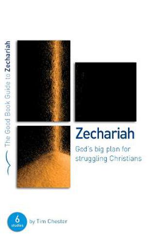 Zechariah: God's Big Plan for struggling Christians: Six studies for individuals or groups