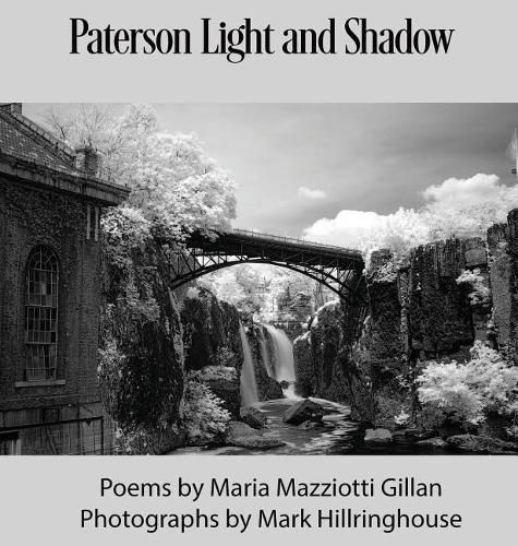 Cover image for Paterson Light and Shadow