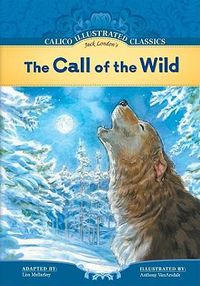 Cover image for Call of the Wild