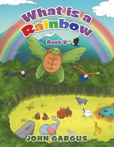 Cover image for What Is a Rainbow