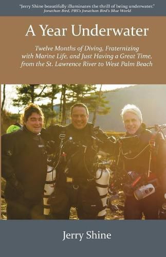 Cover image for A Year Underwater: Twelve Months of Diving, Fraternizing with Marine Life, and Just Having a Great Time, from the St. Lawrence River to West Palm Beach