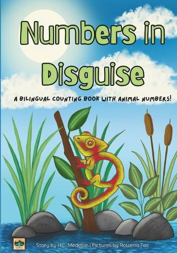 Cover image for Numbers in Disguise