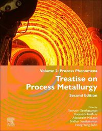 Cover image for Treatise on Process Metallurgy