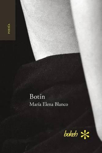 Cover image for Botin. Antologia personal 1986-2016