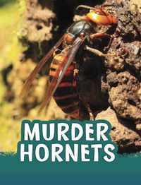 Cover image for Murder Hornets