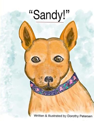 Cover image for Sandy!