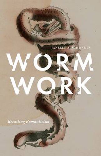 Cover image for Worm Work: Recasting Romanticism