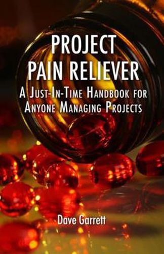 Cover image for Project Pain Reliever: A Just-in-Time Field Guide