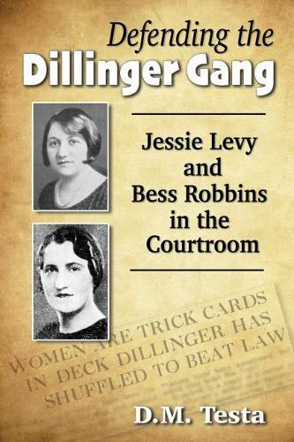 Cover image for Defending the Dillinger Gang: Jessie Levy and Bess Robbins in the Courtroom