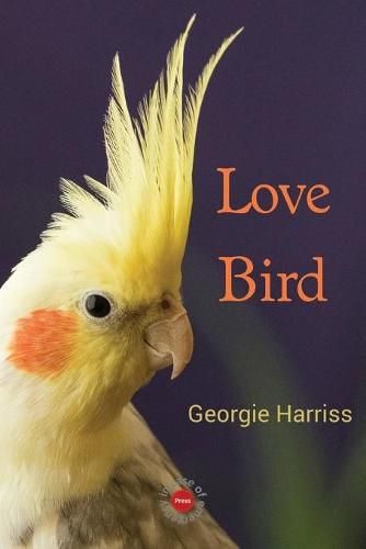 Cover image for Love Bird