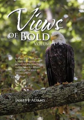 Cover image for Views of Bold: Volume I