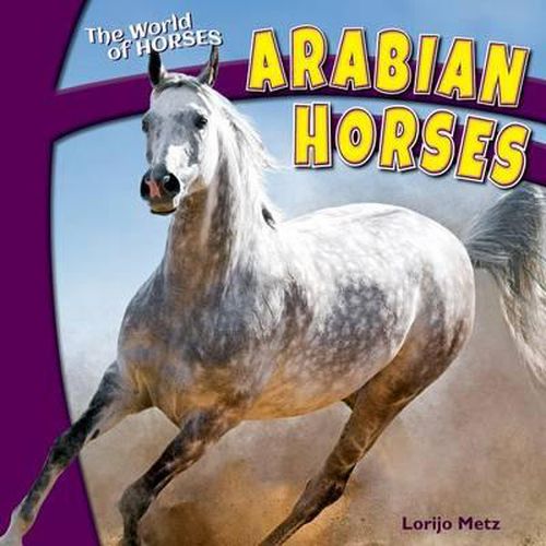 Cover image for Arabian Horses