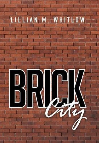 Cover image for Brick City