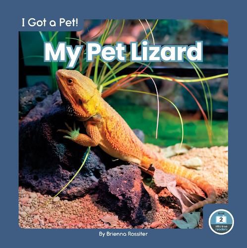 Cover image for I Got a Pet! My Pet Lizard