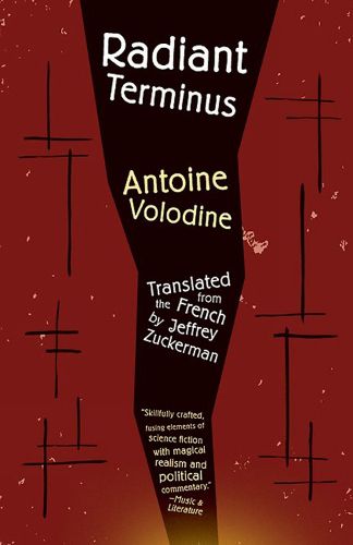 Cover image for Radiant Terminus