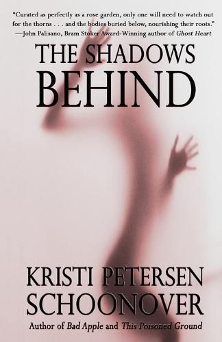 Cover image for The Shadows Behind