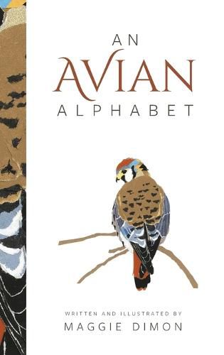 Cover image for An Avian Alphabet