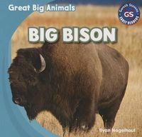 Cover image for Big Bison