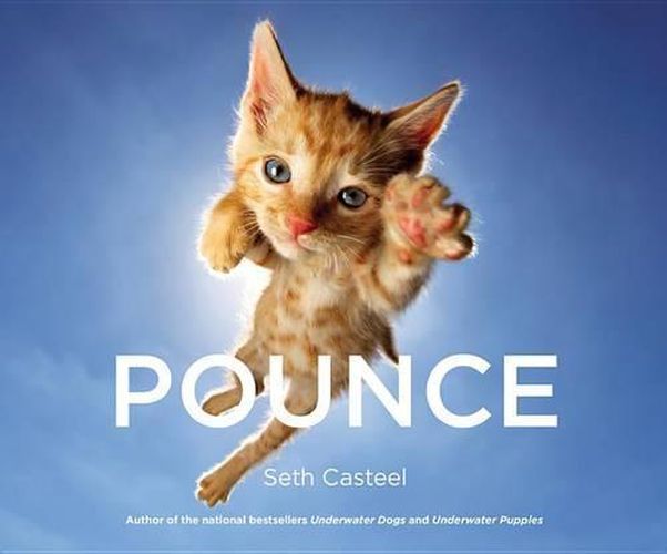 Cover image for Pounce