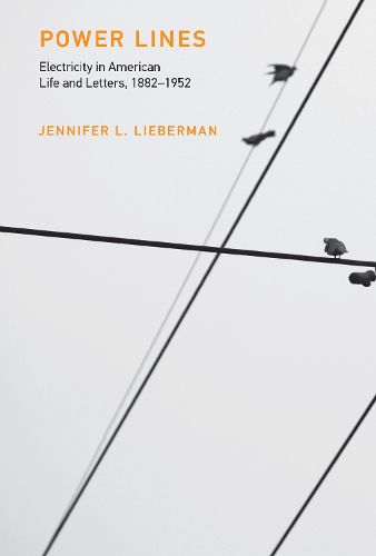 Cover image for Power Lines: Electricity in American Life and Letters, 1882-1952