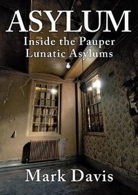 Cover image for Asylum: Inside the Pauper Lunatic Asylums