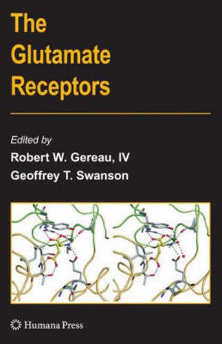 Cover image for The Glutamate Receptors