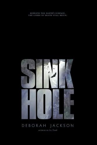 Cover image for Sinkhole