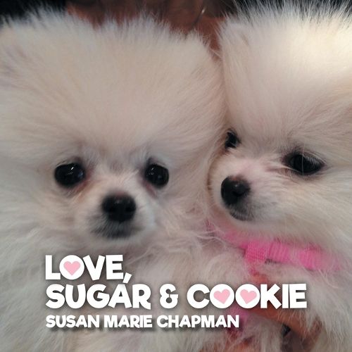 Cover image for Love Sugar & Cookie