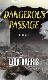 Cover image for Dangerous Passage