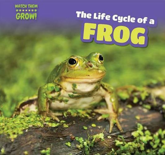 Cover image for The Life Cycle of a Frog