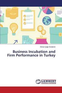 Cover image for Business Incubation and Firm Performance in Turkey