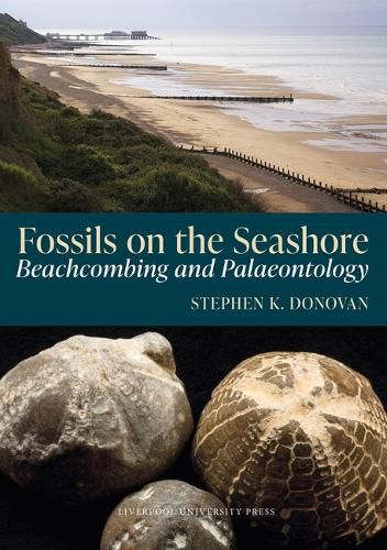 Cover image for Fossils on the Seashore