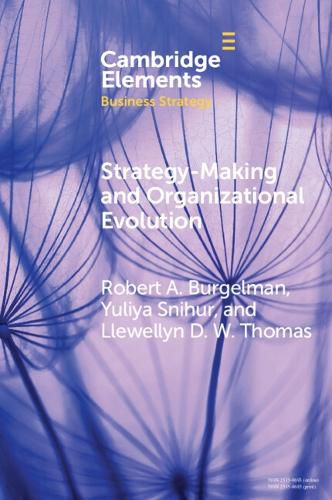 Cover image for Strategy-Making and Organizational Evolution