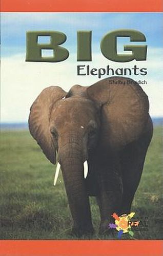 Cover image for Big Elephants