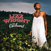 Cover image for Orchard